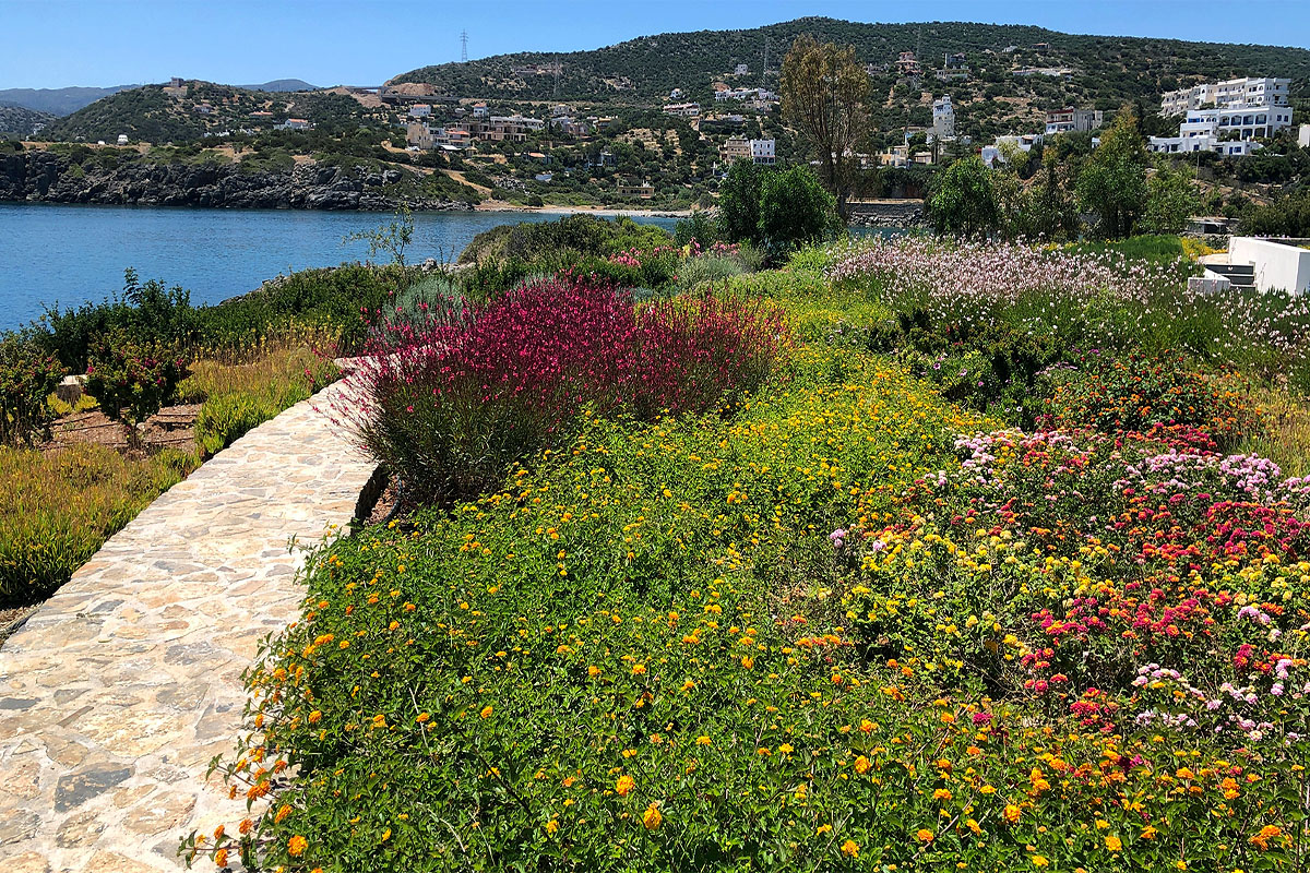 Iremia Seafront Villa